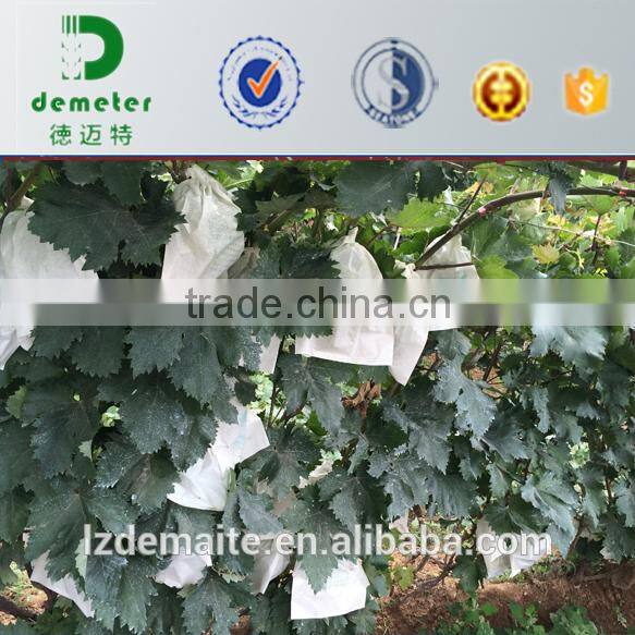 China Made Factory Price Kraft Fruit Growing Paper Bag