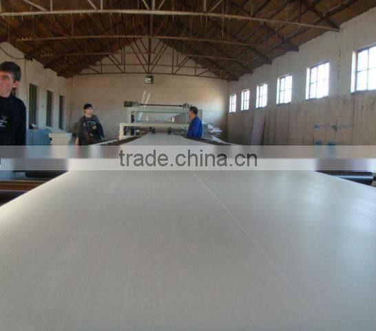 Modern XPS Foamed Board Extrusion Line/Foamed Board Extrude