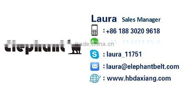 Steel Cord Conveyor Belt/Rubber Belt/Common Fire-Retardant