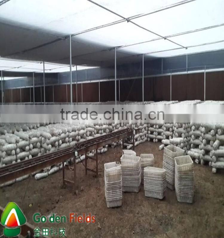 anti-cancer organic wholesale competitive shiitake mushroom export price