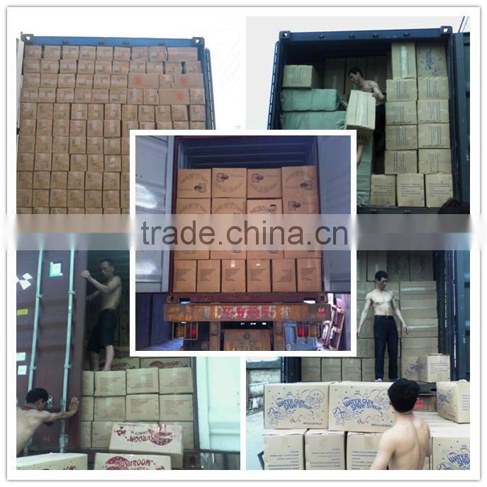 4pcs pack fashion fruit chewing gum