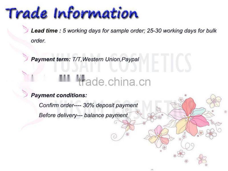 High Quality Makeup Matte Lipstick