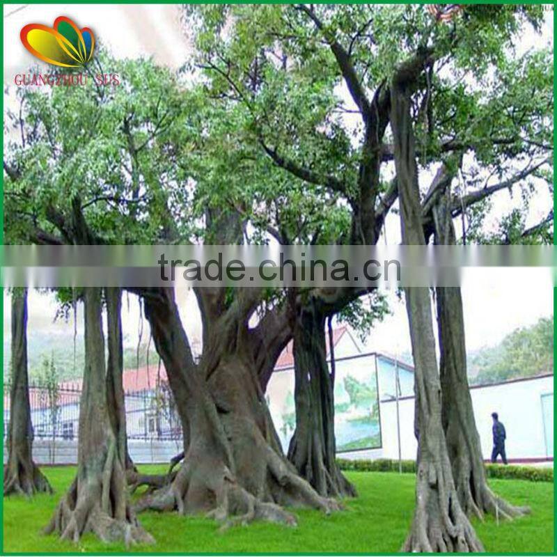 latest design artificial banyan tree
