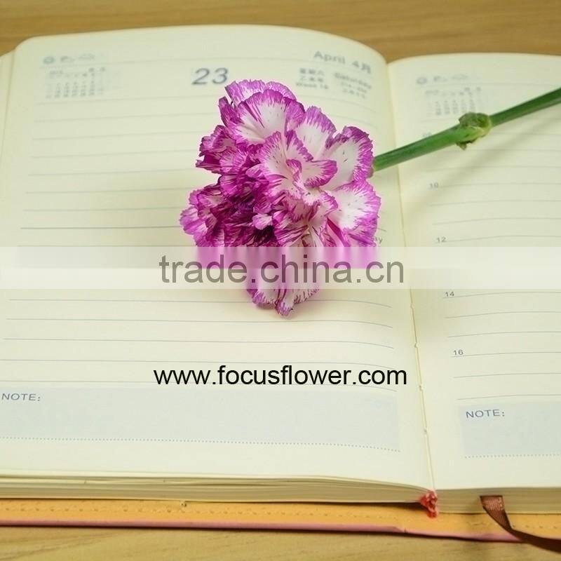 Building Decoration Natural Carnation Flowers For Wholesale Purple High Quality Carnation