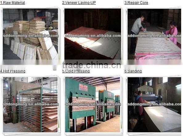 High Quality Multi Wood and Plywood