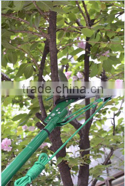 long reach pole saw