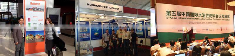 white/yellow ball granular Calcium Magnesium Nitrate 13-16-6 fertilizer