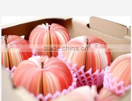 Fruit Protecting Net