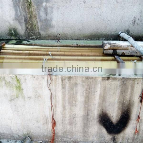 wy-z010 bamboo stick stake natural / dyed color for agriculture and horticulture
