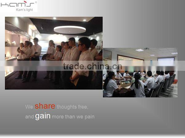 Factory Wholesale Price 2015 LED Spotlight 12W Lens