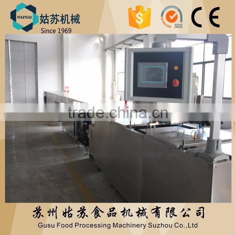 QDJ1000 width chocolate chip making machine