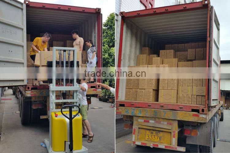 800W DC to AC pure sine wave power inverter