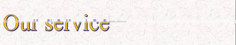 polished crystal embellishments for phone for apple iphone 5s unlocked italy