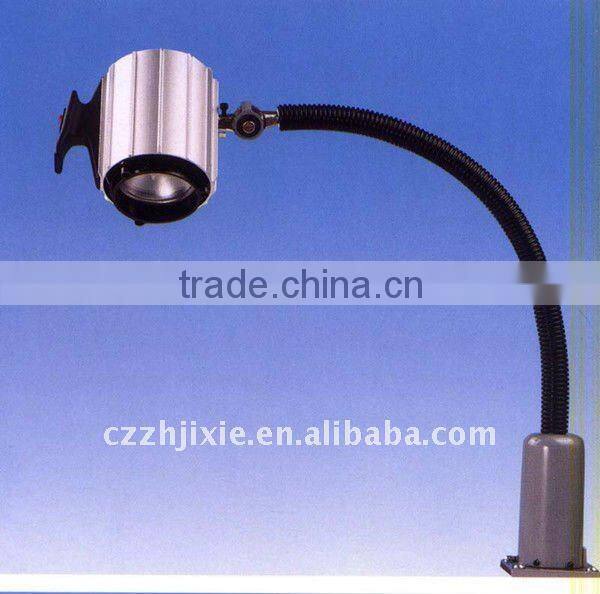 Flexible Halogen Light