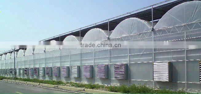 Galvanized steel frame greenhouse for Agriculture