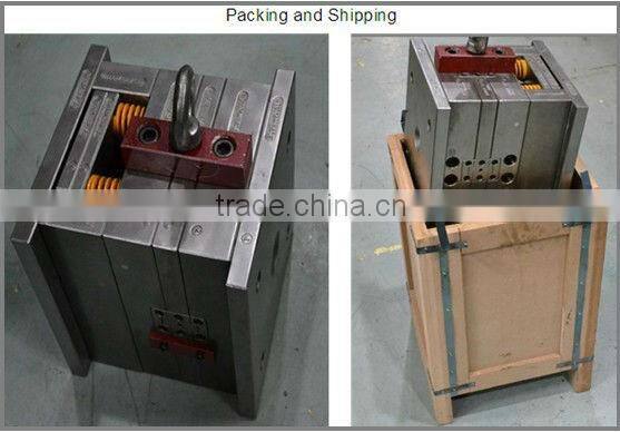 Custom precision plastic inject mold