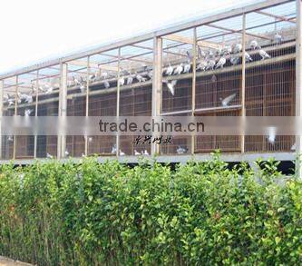 2016 Galvanized Welded wire mesh piece ,Construction wire mesh piece,