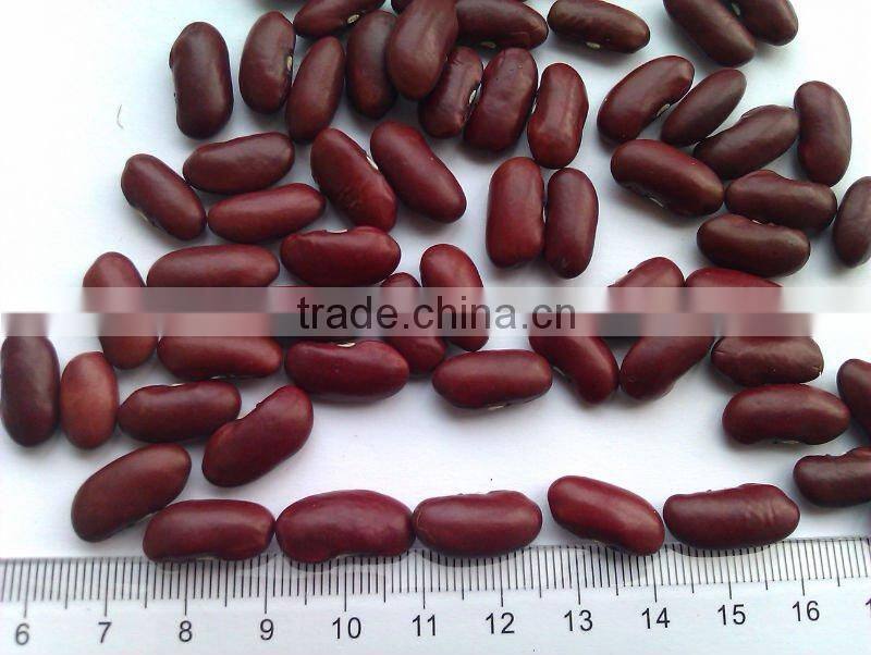 Red Kidney Bean( 2013 crop, heilongjiang origin, hps)