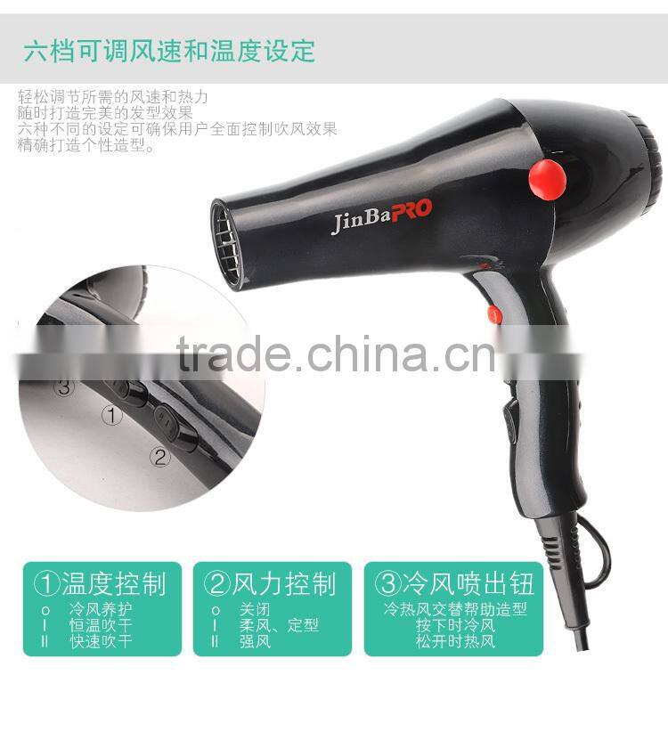 Professional DC motor AC motor Hair Dryer