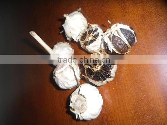 Vietnam Black Gralic (skype: davis.thong)