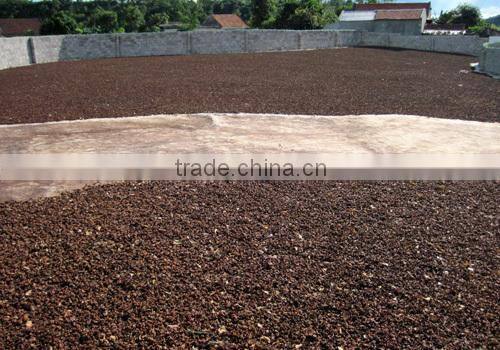 Viet Nam Star Aniseed