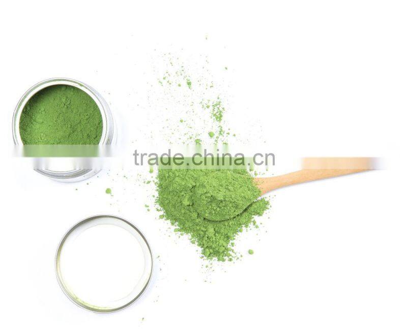 Hot selling EU Organic Green Tea Powder Matcha Factory