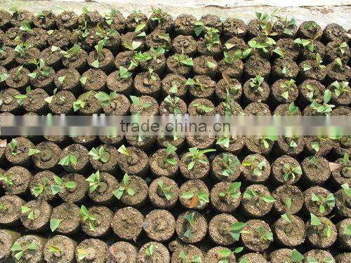 SLT200 High Quality Seed Nutrition Block Machine//0086-15838061756