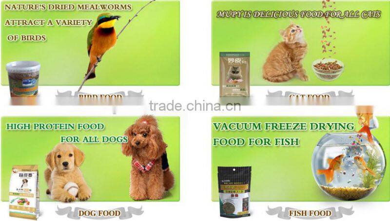 packets food lizard dried silkworm chow