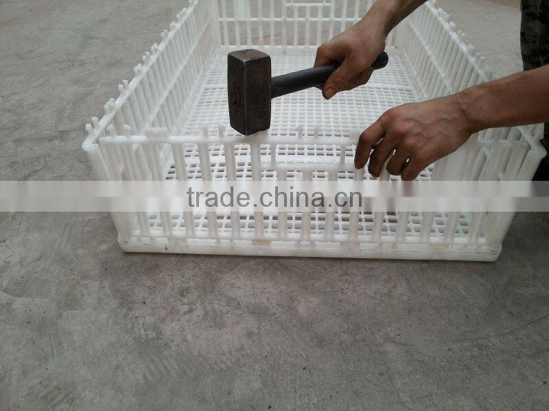 Big strong chicken transport crates
