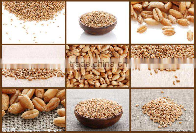 Corn and Maize Threshing Machine with Low Price|Small Sweet Corn Thresher and Huller