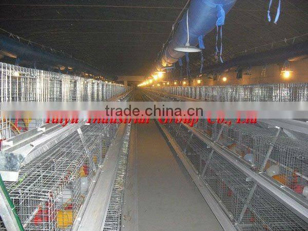 TAIYU-3 automatic broiler raising cage