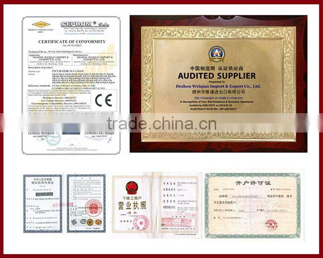 Plastic 2017 professional plastic poultry layer cage for sale made in China plastic cage bird feeders