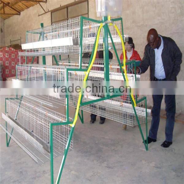 Alibaba express used poultry equipment for sale