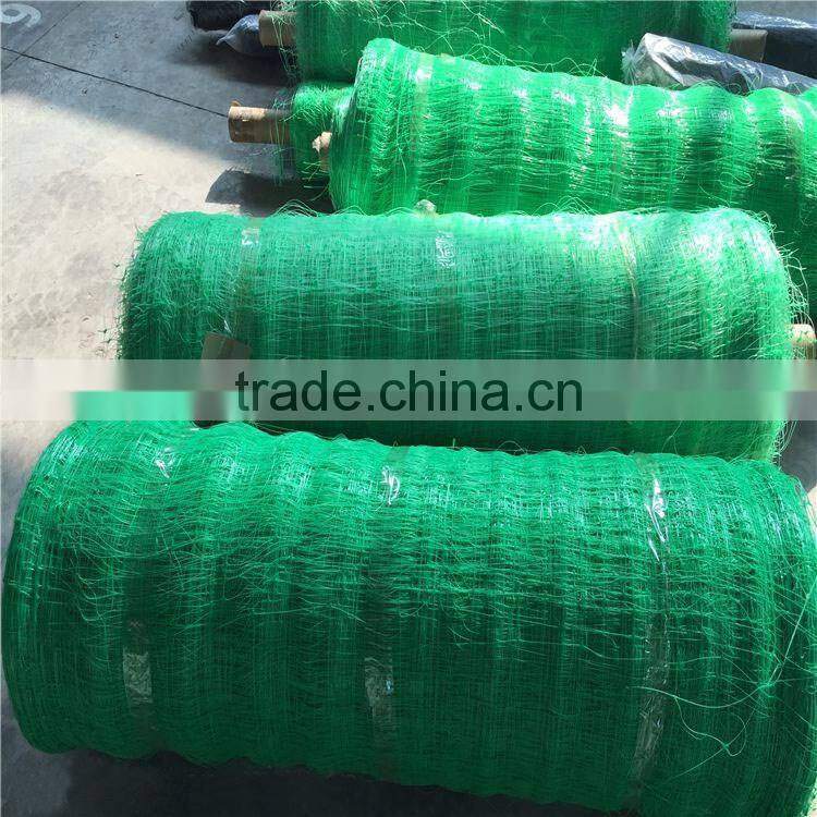 Plant cucumber support netting