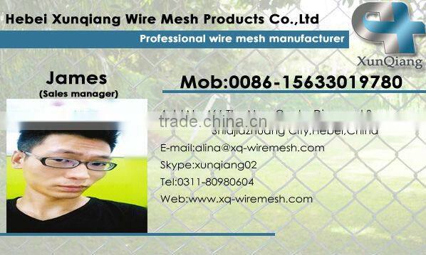 Plastic support net for flowers