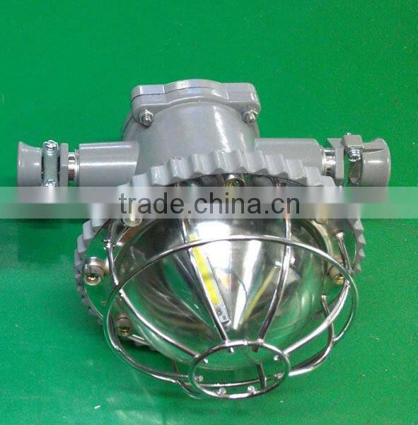 explosion-proof street light