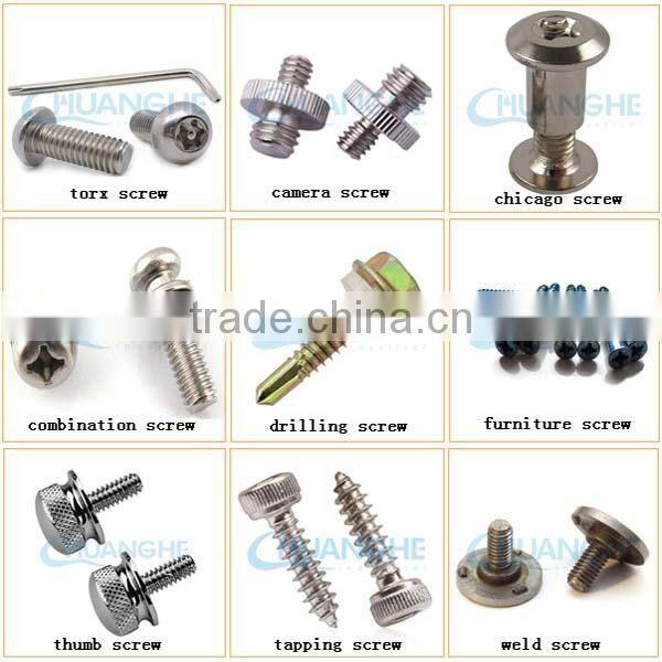 China Factory sales special round head furniture screws