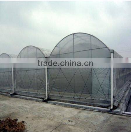 High quality plastic greenhouse film with different specification