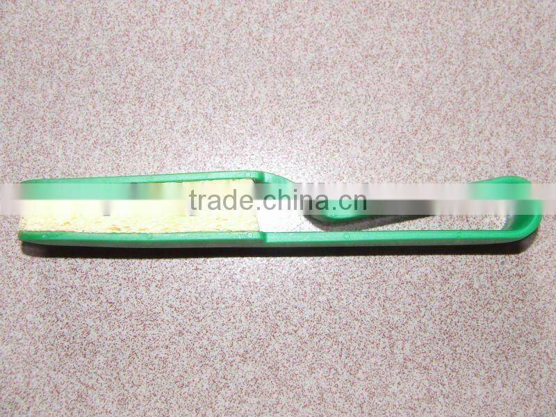 plastic plant brosse cleaning the leaf