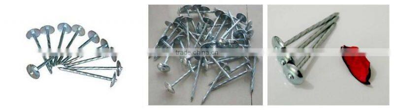 E.G. umbrella head roofing nails with low price from china