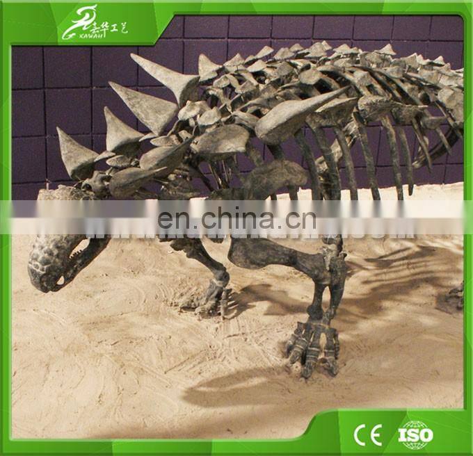 KAWAH Large Dinosaur Skeleton Fossil for Sale