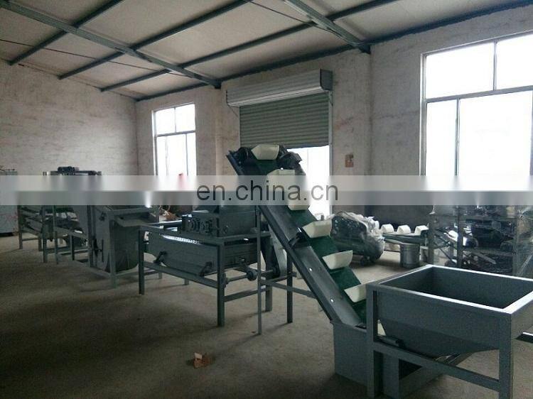 Taizy Machine for breaking nuts walnut almond cracking and shelling machine