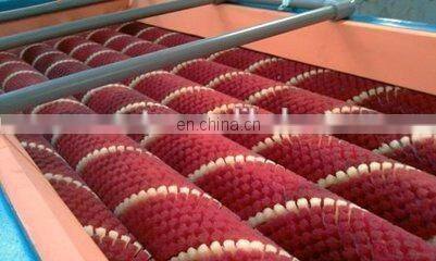 High quality Egg cleaning machine,egg washing machine