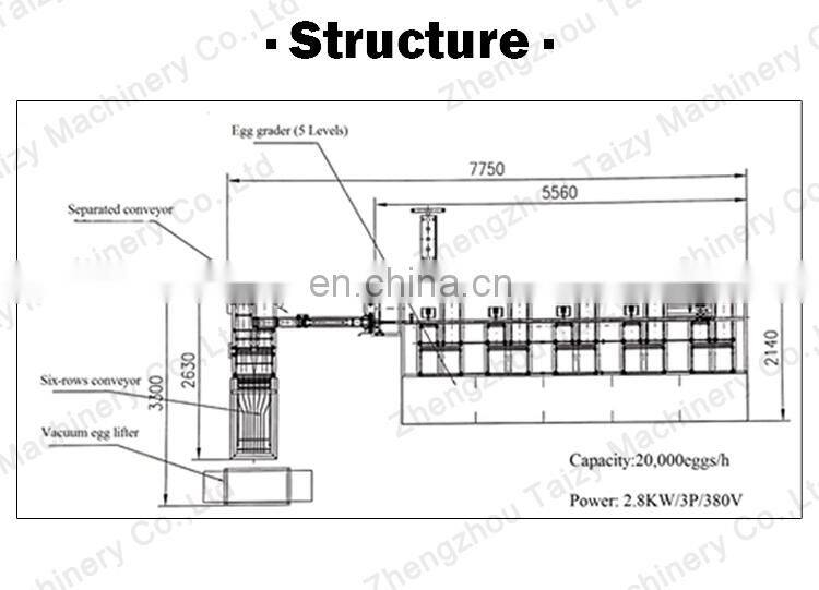 10000Pcs/H Egg Sorting Machine For Sale Vacuum Lifter Egg Grader Candling Machine