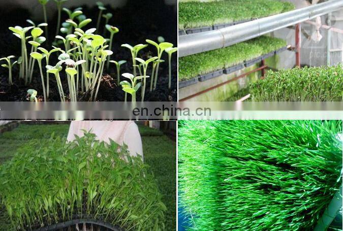 seed sprout machine barley sprout machine