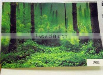 Beautiful different tapes of comic book printing paper