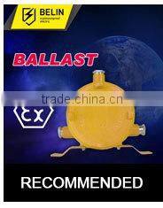 BAZ51 Explosion Proof Dual Hids Ballasts