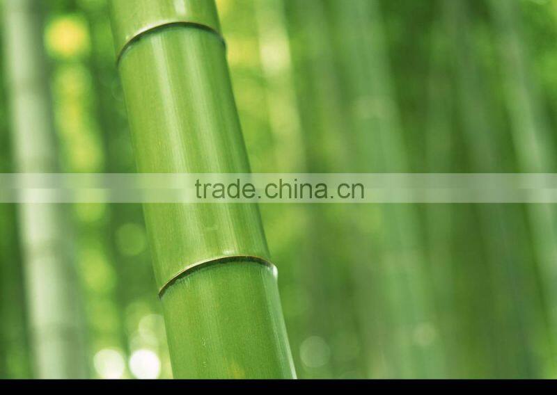 Business card holder, name card holder, card holder, Hotsale Official Supplies Desk Name Card Holder Cheap Small Bamboo Box