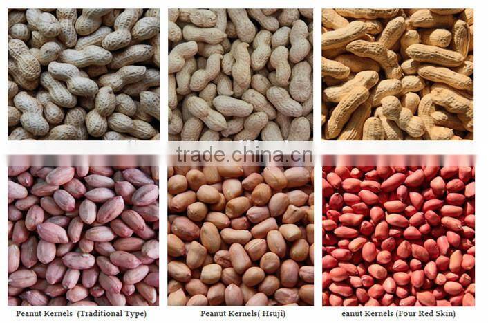best selling products nutritional value of peanut wholesale peanuts price