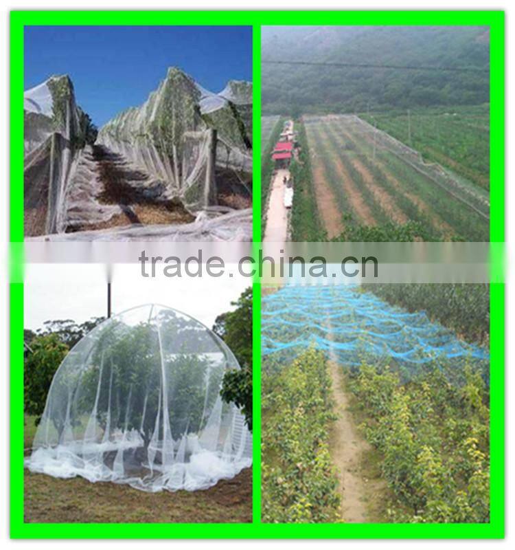 high quality virgin HDPE crops top cover anti-bird stretch net